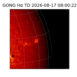 gong - 2026-08-17T08:00:22