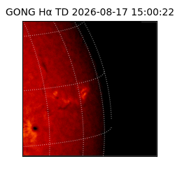 gong - 2026-08-17T15:00:22