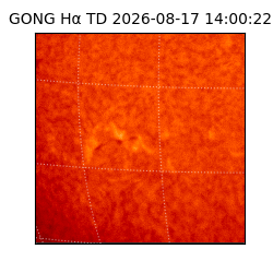 gong - 2026-08-17T14:00:22