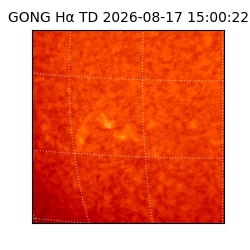 gong - 2026-08-17T15:00:22