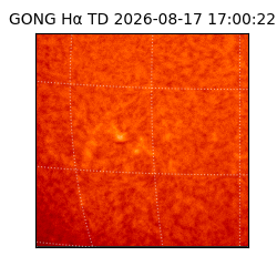 gong - 2026-08-17T17:00:22