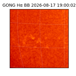gong - 2026-08-17T19:00:02