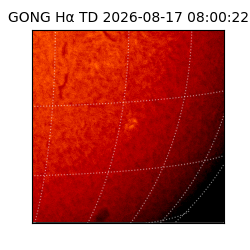 gong - 2026-08-17T08:00:22