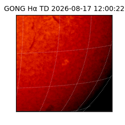 gong - 2026-08-17T12:00:22
