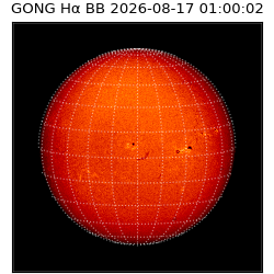 gong - 2026-08-17T01:00:02
