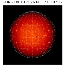gong - 2026-08-17T09:07:22