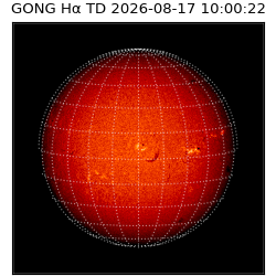 gong - 2026-08-17T10:00:22