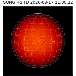 gong - 2026-08-17T11:00:22