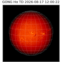 gong - 2026-08-17T12:00:22