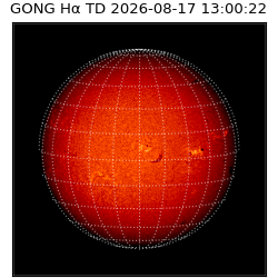 gong - 2026-08-17T13:00:22