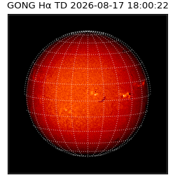gong - 2026-08-17T18:00:22