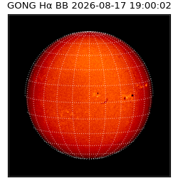 gong - 2026-08-17T19:00:02