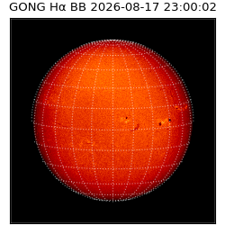 gong - 2026-08-17T23:00:02