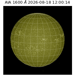 saia - 2026-08-18T12:00:14.124000
