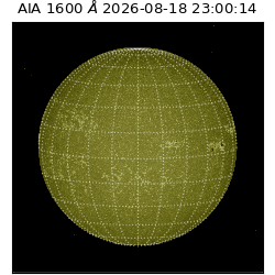 saia - 2026-08-18T23:00:14.124000