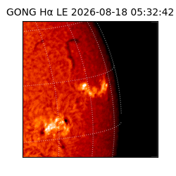 gong - 2026-08-18T05:32:42