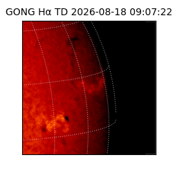 gong - 2026-08-18T09:07:22