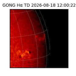 gong - 2026-08-18T12:00:22