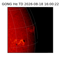 gong - 2026-08-18T16:00:22