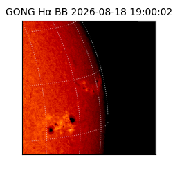 gong - 2026-08-18T19:00:02