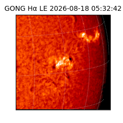 gong - 2026-08-18T05:32:42