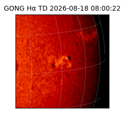 gong - 2026-08-18T08:00:22