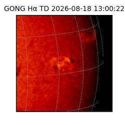 gong - 2026-08-18T13:00:22