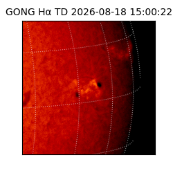 gong - 2026-08-18T15:00:22