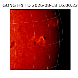 gong - 2026-08-18T16:00:22