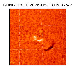 gong - 2026-08-18T05:32:42