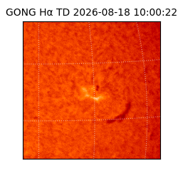 gong - 2026-08-18T10:00:22