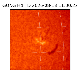 gong - 2026-08-18T11:00:22