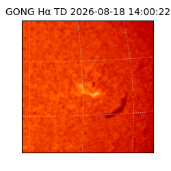 gong - 2026-08-18T14:00:22
