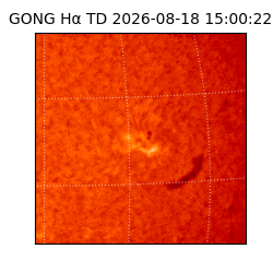 gong - 2026-08-18T15:00:22