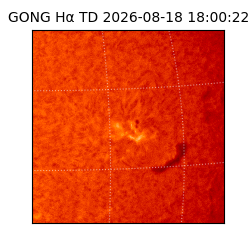 gong - 2026-08-18T18:00:22