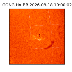 gong - 2026-08-18T19:00:02