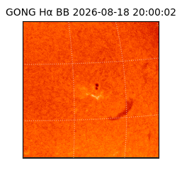 gong - 2026-08-18T20:00:02