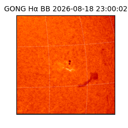 gong - 2026-08-18T23:00:02