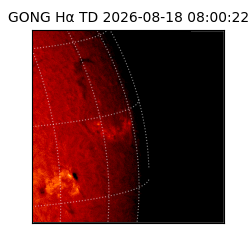gong - 2026-08-18T08:00:22