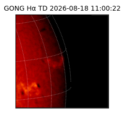 gong - 2026-08-18T11:00:22