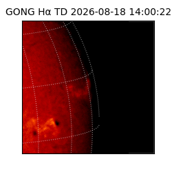 gong - 2026-08-18T14:00:22