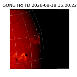 gong - 2026-08-18T16:00:22