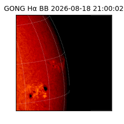 gong - 2026-08-18T21:00:02