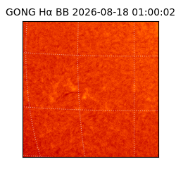 gong - 2026-08-18T01:00:02