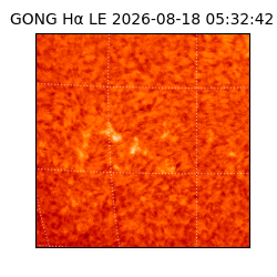 gong - 2026-08-18T05:32:42