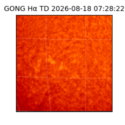 gong - 2026-08-18T07:28:22