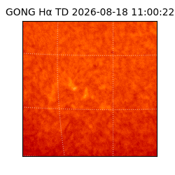 gong - 2026-08-18T11:00:22