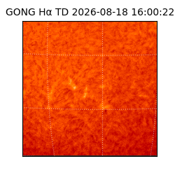 gong - 2026-08-18T16:00:22
