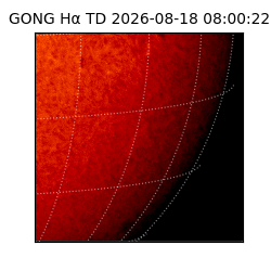 gong - 2026-08-18T08:00:22