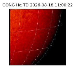 gong - 2026-08-18T11:00:22